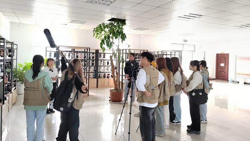 三维动画软件正版授权，价格之外的关键考量**