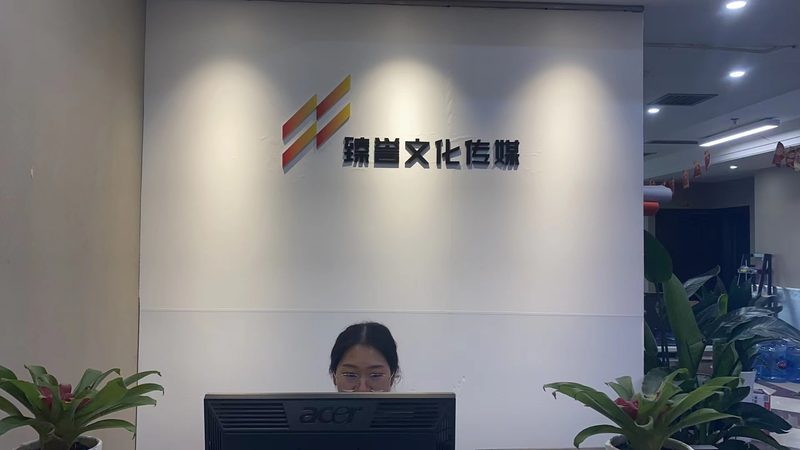媒介投放排期步骤：精准布局，提升传播效率